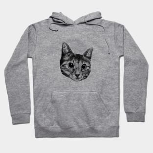 Cat Hoodie